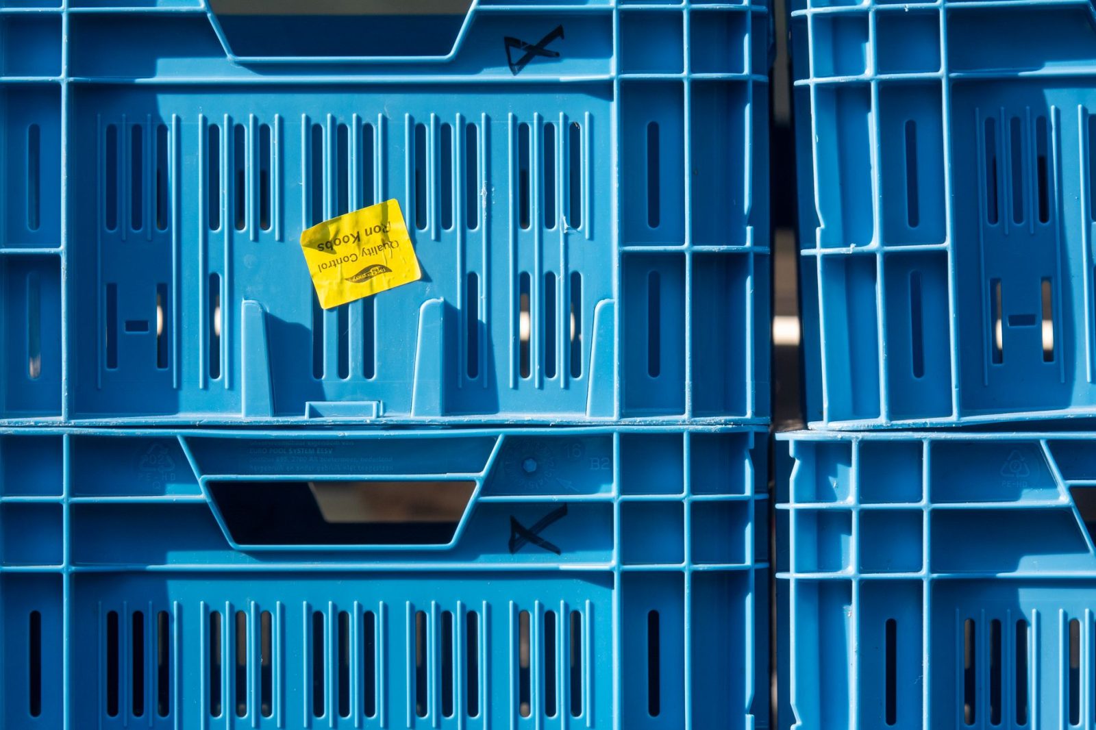 Caixa Bin: Como Escolher e Organizar Peças na Oficina